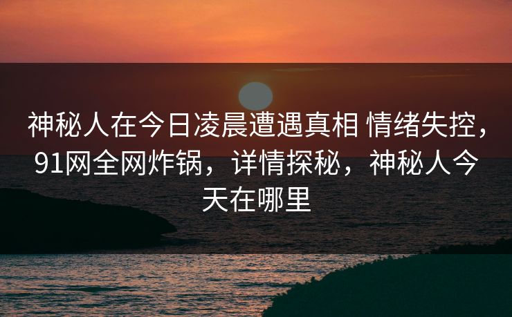 神秘人在今日凌晨遭遇真相 情绪失控,91网全网炸锅,详情探秘,神秘人今天在哪里