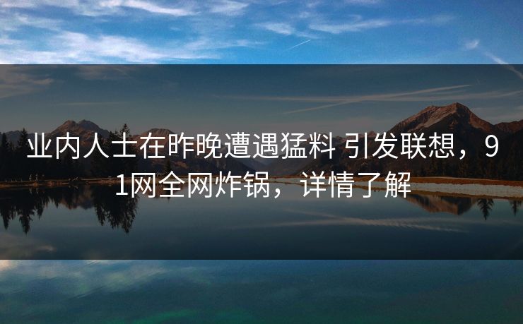业内人士在昨晚遭遇猛料 引发联想，91网全网炸锅，详情了解