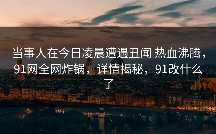 当事人在今日凌晨遭遇丑闻 热血沸腾，91网全网炸锅，详情揭秘，91改什么了